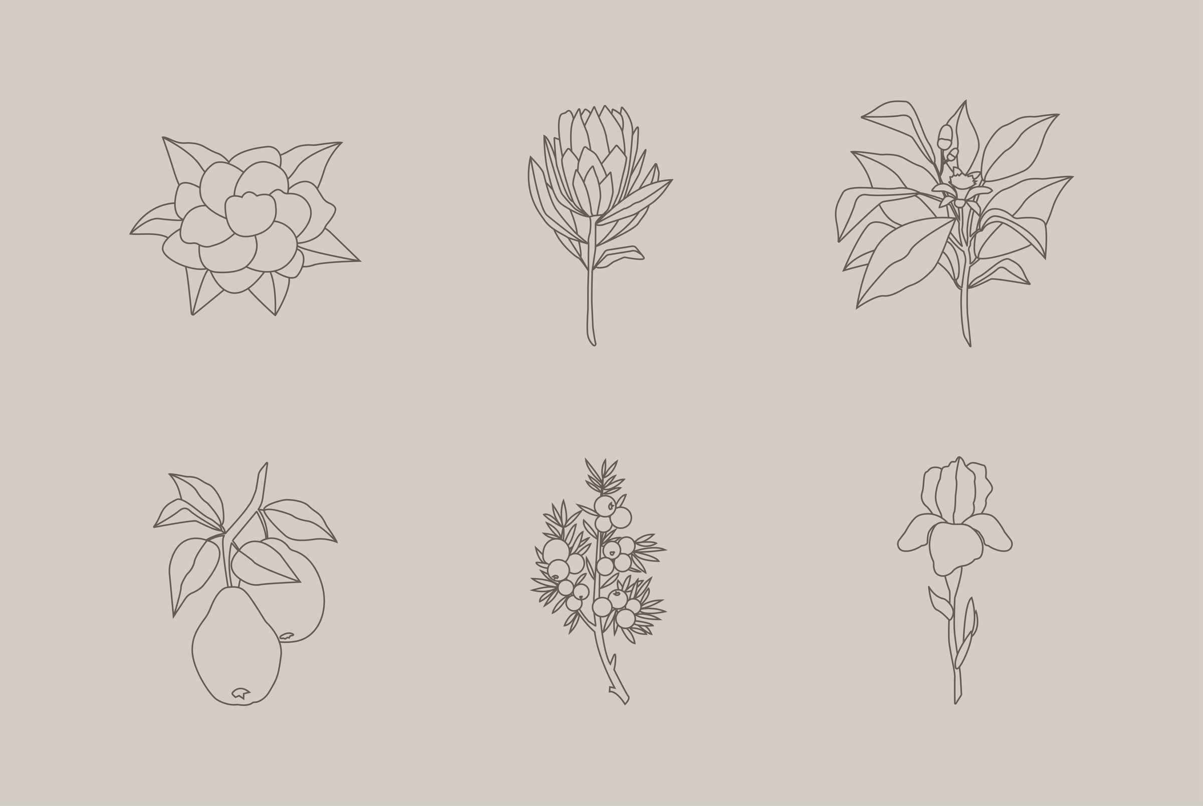 Six botanical signatures