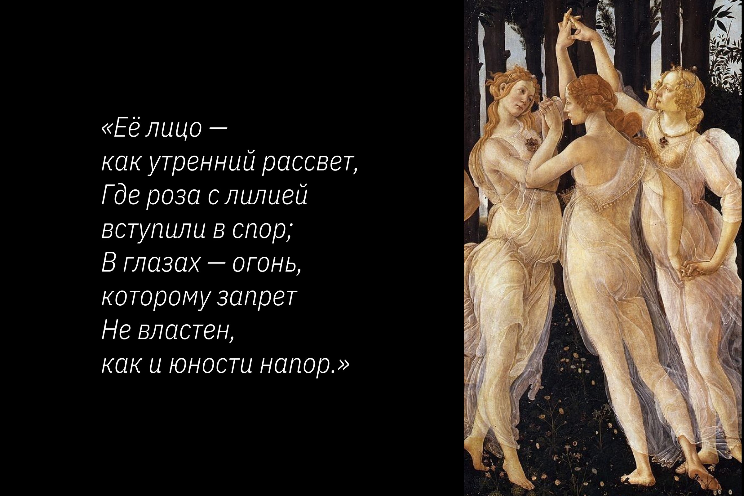 Image and verse